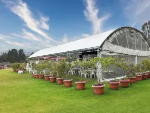 Rancho Las santas