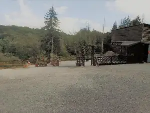 The House in the Woods
