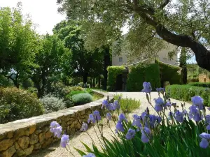 Maison de Maître sur 1 Hectare et Demi au Pied des Dentelles de Montmirail