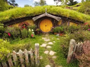 The Red Shed