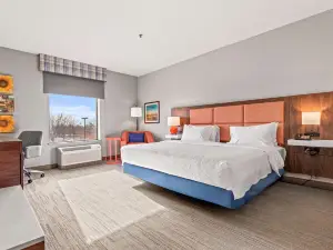 Hampton Inn Denver Northeast-Brighton