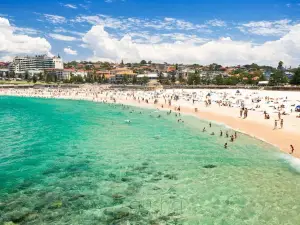 A Light Filled Contemporary Design Apartment