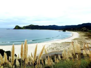 Boho Hill Apartment - Great Barrier Island Escape