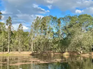 Seehorse Meadows, a Farm Stay in Churchable!