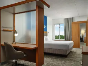 SpringHill Suites Pittsburgh Mt. Lebanon