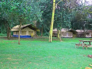 Oasis Eco Camp