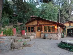 Cabañas Tapalpa Sierra del Tecuan, Cabaña Tejón