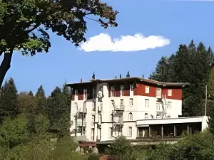 Das Waldhotel - Genuss & Wellness am Notschreipass