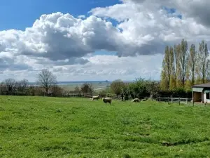 Joli Appartement Avec Vue Sur la Baie