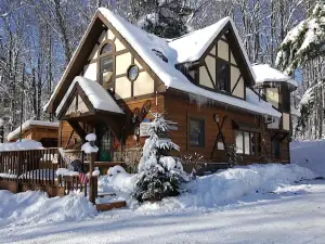 Cozy & Rustic 3 bdr chalet w/ plenty of privacy!