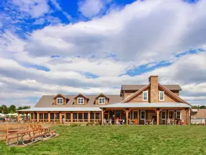 Charming Cottage - Fenced Yard, Firepit, High-Speed WiFi