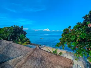 The South Hideaway Oslob