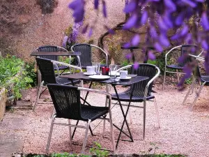 Les Glycines Vézelay