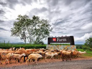 UK 애그로 리조트