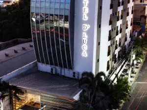 호텔 드루카