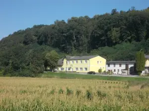 Gasthaus Kleebinder