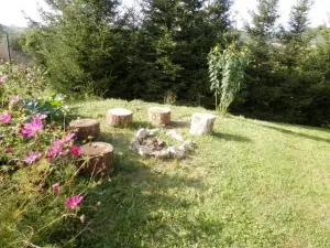 Studio Borovi