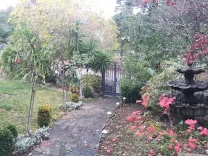 Serene Charming Private Suite Patio, Upscale Berkeley