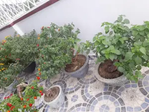 Chỗ nghỉ ngơi đáng nhớ cho quý khách