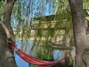 Qotej