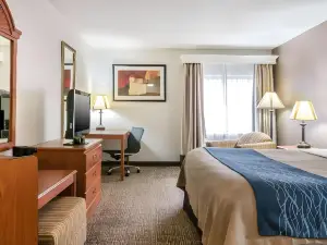 Comfort Inn Downtown - University Area