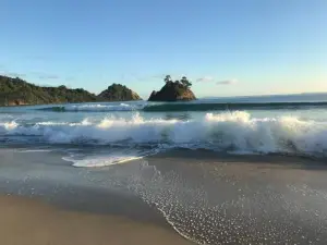 Whangapoua Paradise