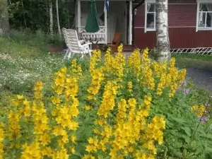 Ilmastoitu kesämökki Askolassa lähellä Porvoota