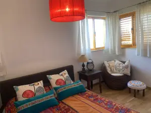 Casa de Pereiras - Peace, landscape, swimming pool