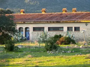 Finca Las Gamitas