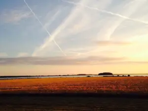 Askø Bed & Breakfast