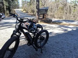 Loblolly Pines Adventure Cabin 3 - King