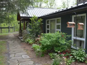 Cozy Mountain home near Covington, Virginia, The Greenbriar and Homestead
