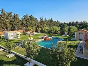 วิลลา เนคทาริส-บิเซอร์เต