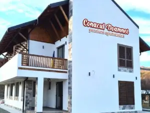 Conacul Doamnei