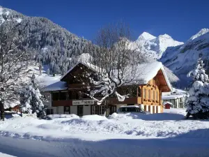 Hotel Alpina