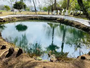 Campamento Quinta San Pedro Tamasopo