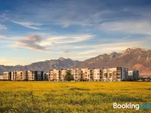Luxury Living with Resort Amenities King Bd Queens Bd Sofa Bd GymPoolHot Tub Fast WiFi