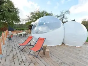 Bulle Hirondelle