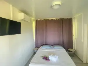 Temana Airport Faa'a,Tahiti