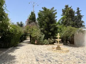 Dar Beldi
