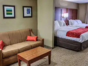 Comfort Suites Plymouth Near US-30