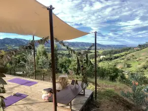 Cabin “Eucalipto” at blueberry farm