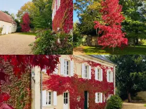 Les Couleurs du Verger