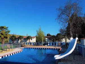 Whanganui River Top 10 Holiday Park