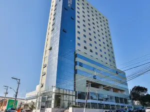 노블 인 메리지오나우 카리아시카