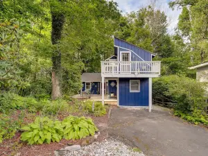 10 Mi to Sugar Mtn Bluebird Cottage in Newland