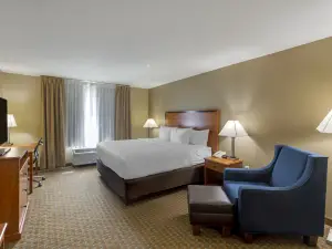 Comfort Inn & Suites Marion I-57