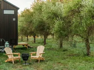 Olive Grove Retreat 2 by Tiny Away