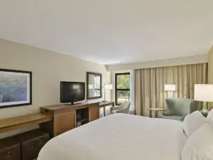 希爾頓歡朋酒店-多拉山