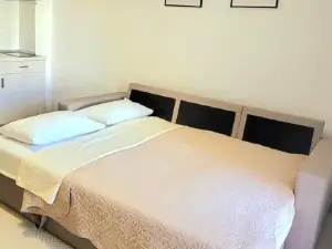 Center River Apartment